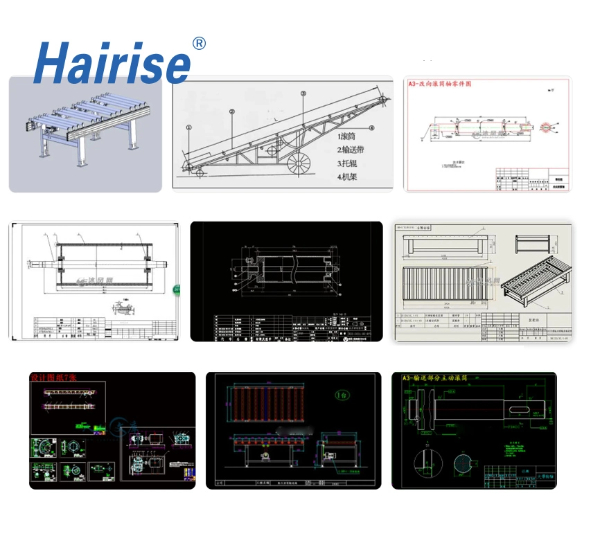 Hairise Stainless Steel 304 Wtih FDA& Gsg Certificate Automated Wheel Roller Conveyor