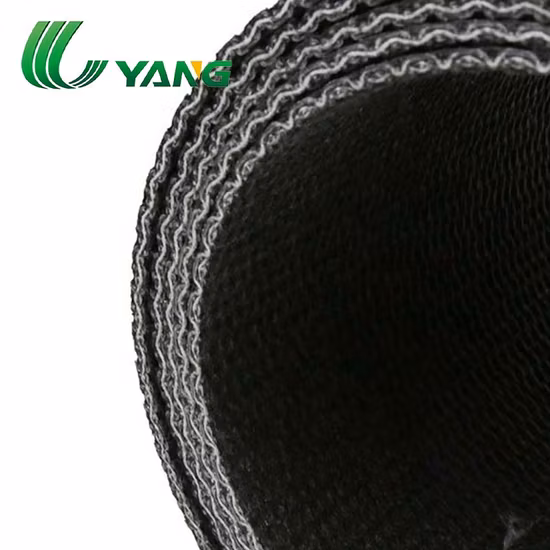 Nastro trasportatore senza fine in PVC/PU Bletwin ad alta resistenza, sottile e leggero per l'industria alimentare