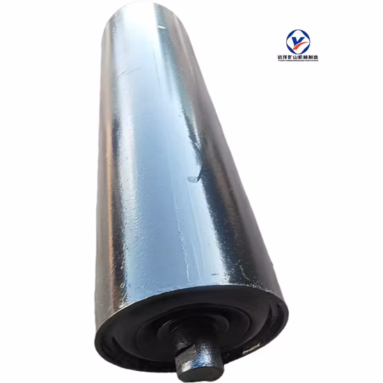 Parti standard del rullo trasportatore per parti di attrezzature per la movimentazione dei materiali